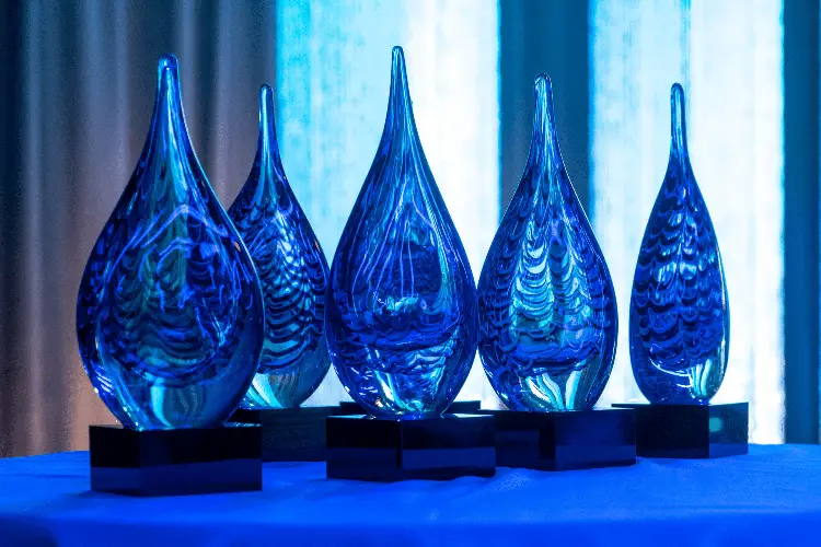 Awards displayed on a table